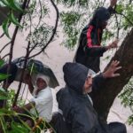 डोणगावात पावसाचा थरार..५ जण पुराच्या पाण्यात अडकले, जीव मुठीत धरून लिंबाच्या झाडावर चढले..